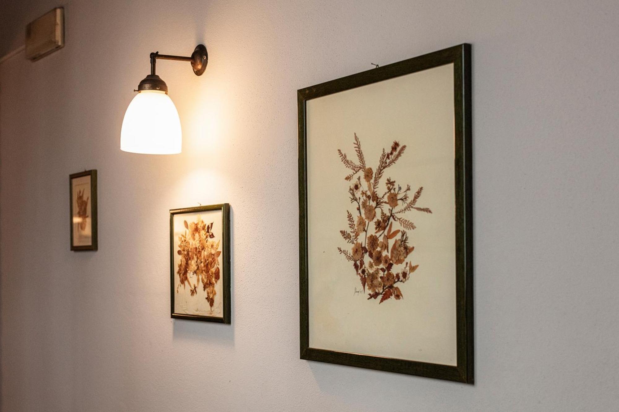 Agriturismo Il Palazzone Montegalda Zewnętrze zdjęcie