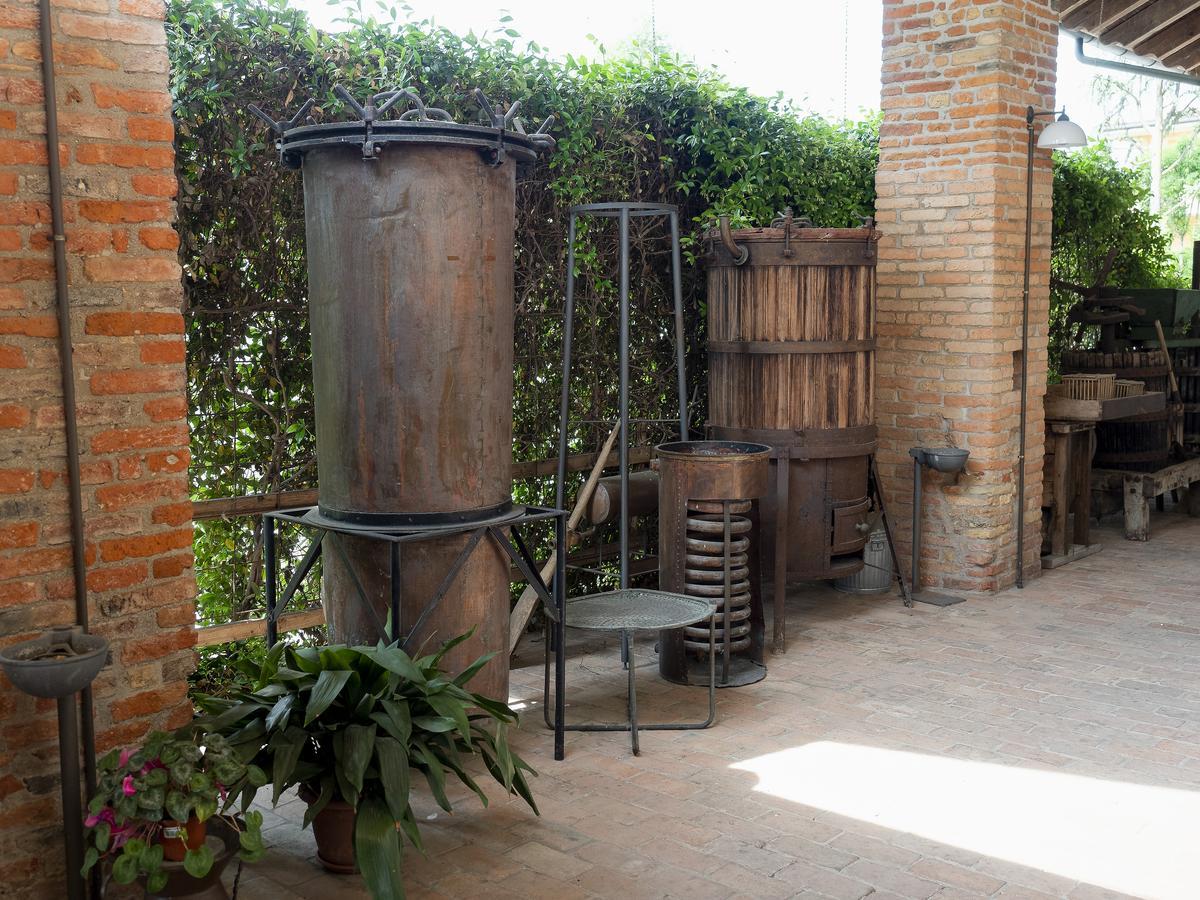 Agriturismo Il Palazzone Montegalda Zewnętrze zdjęcie